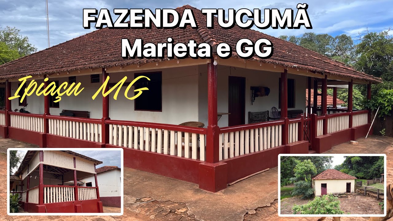 BELEZAS DA FAZENDA TUCUMÃ IPIAÇU MG #fazendashistoricas