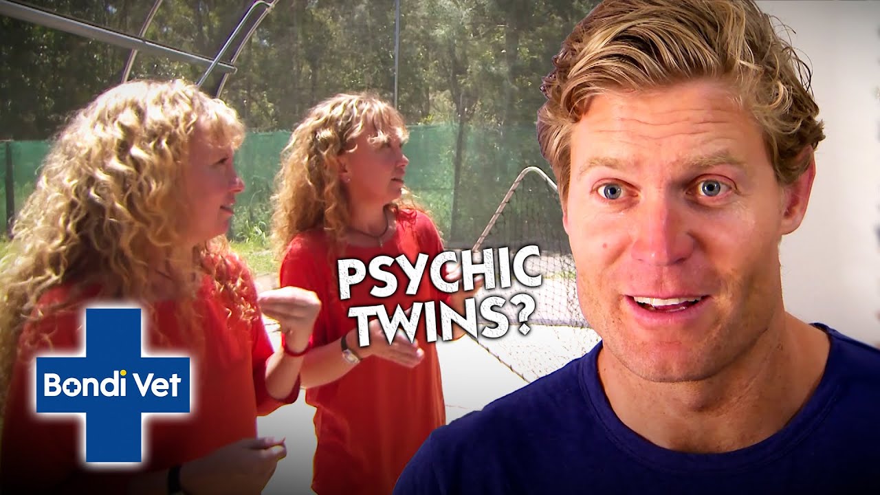 These Bird Loving Twins have a HUGE Task for Dr. Chris | Bondi Vet
