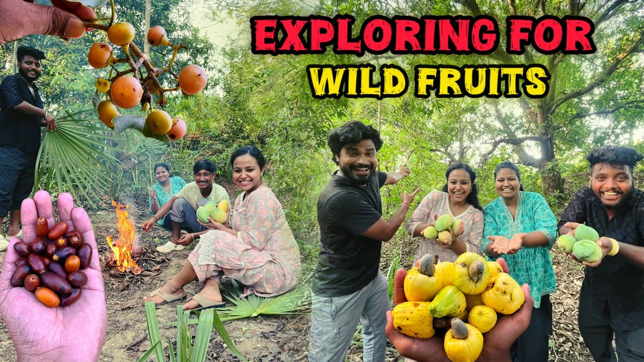 Exploring jungle for seasonal wild fruits | Itna fruits khake maza aagaya | @TRIPTHEWILD
