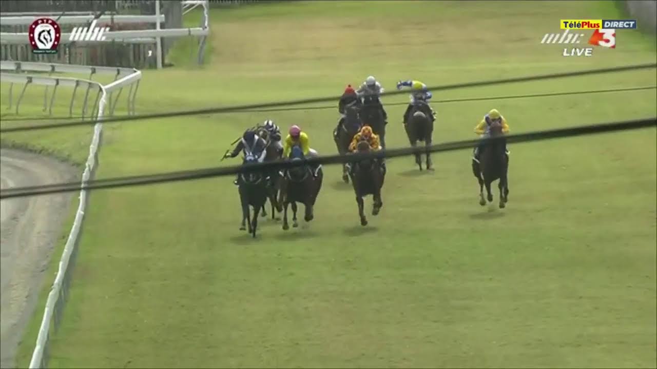 Hippisme - 12&egrave;me journ&eacute;e - La 4&egrave;me course en direct