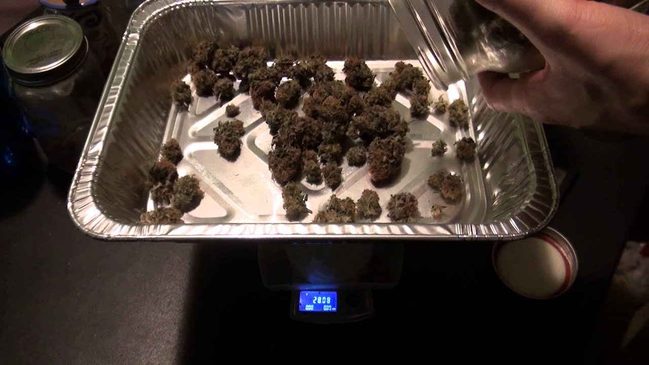Qrazy Train - Dry Weight Yield Results
