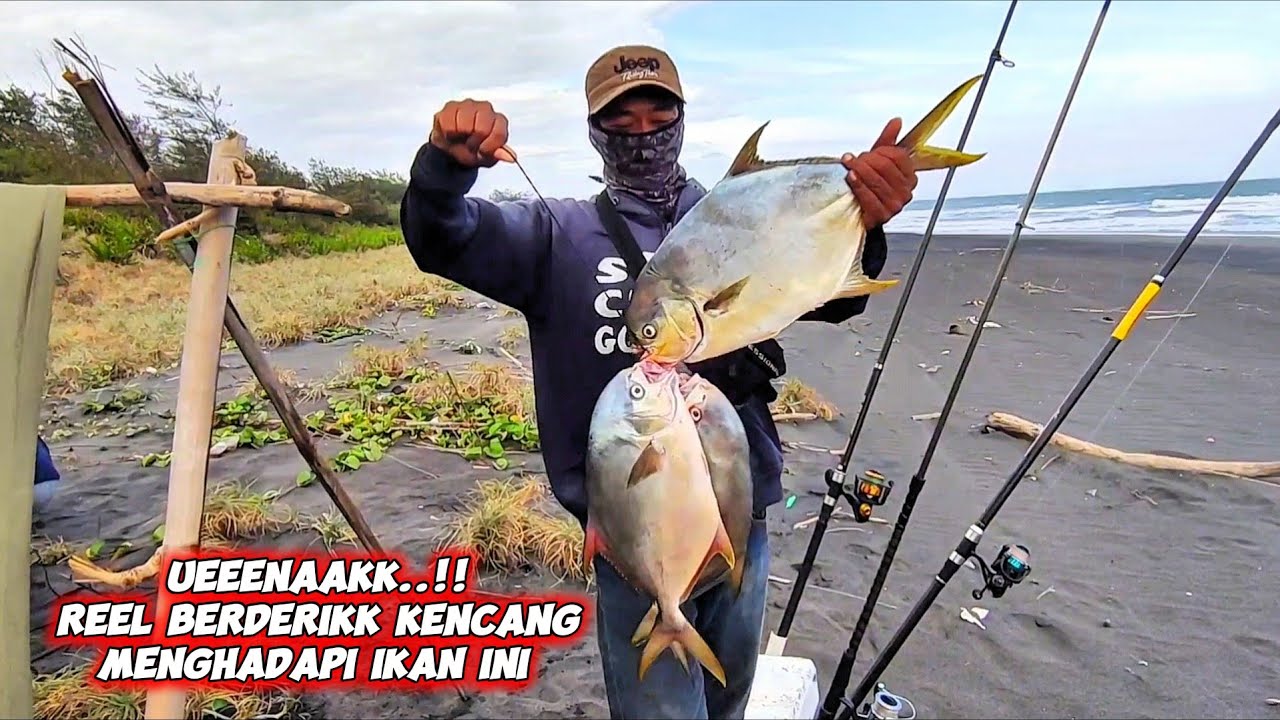 PEMANCING BERUNTUNG‼️UMPAN DI SAMBAR IKAN BESAR JORAN MELENGKUNG HEBAT || Mancing pinggir pantai‼️💥