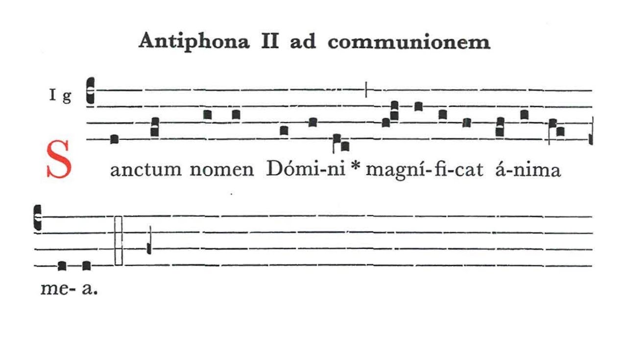 Sanctum nomen Domini; Skosztujcie i zobaczcie - Graduale Simplex Communio