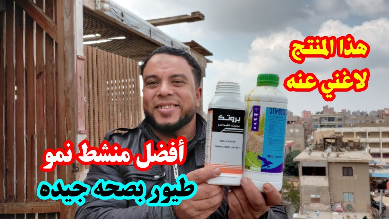 لو حجم الزغاليل عندك ضعيف هقولك تعمل معاهم إيه وهتعرف الفرق بنفسك