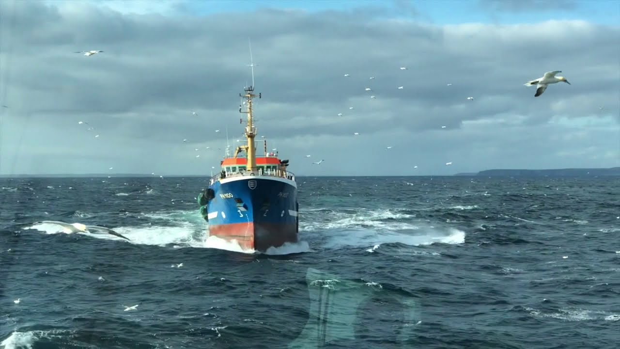Wiron 5 & 6 op haring bij Schotland sept 2018