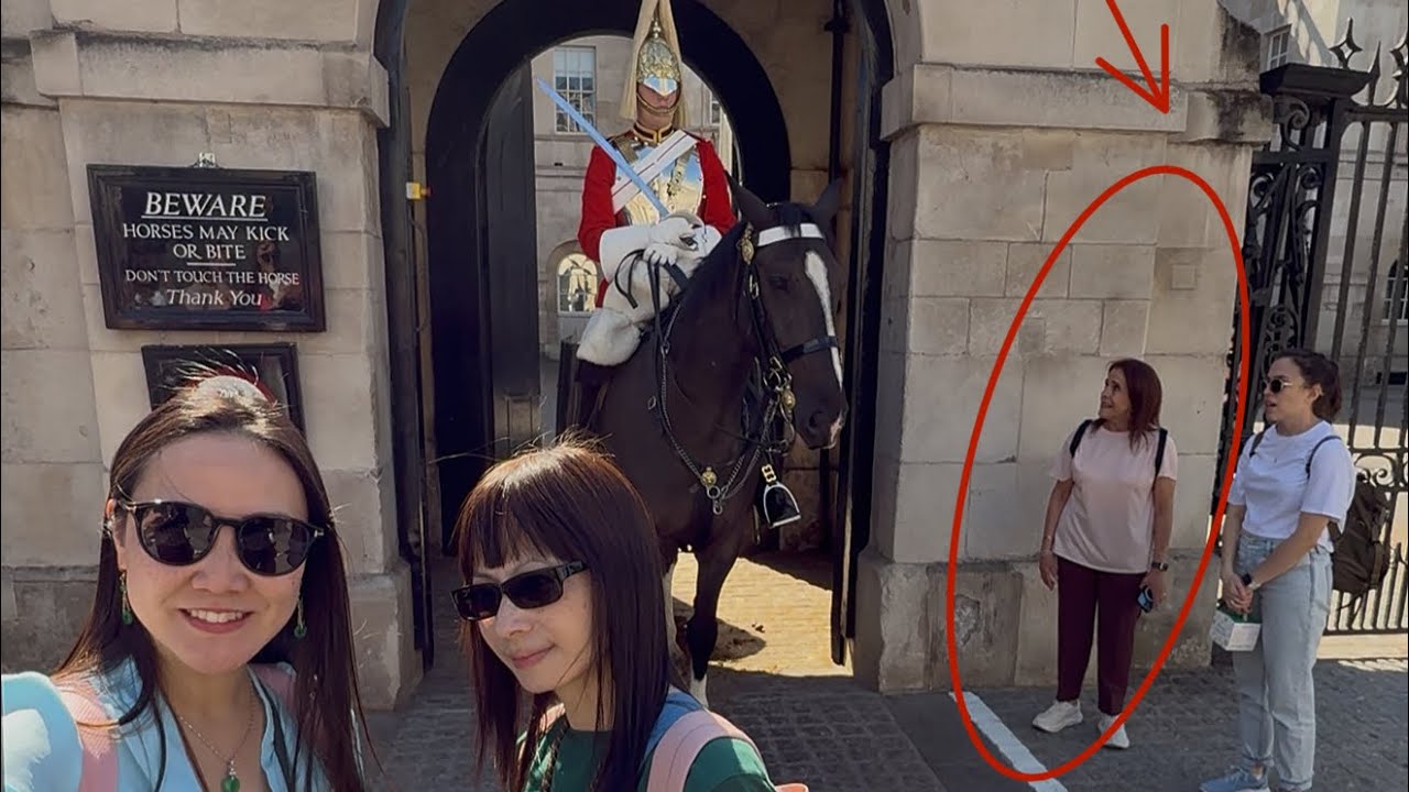 “Tourist Talks to King’s Guard Horse — Watch the Reaction!