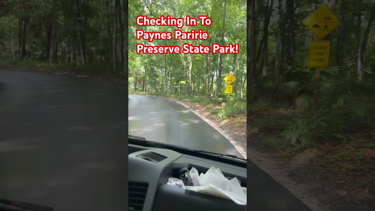 $9.00 A  Night Camping At Payne Prairie Preserve State Park! #God#camping#statepark#cheap