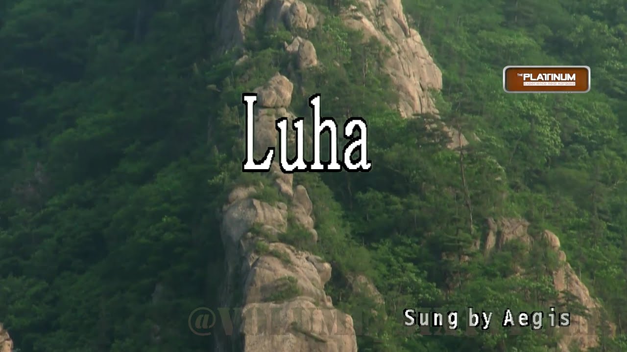 Aegis - Luha || Karaoke/Lyrics/Instrumental