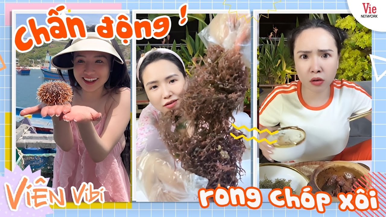 Bà trùm nông sản Viên Vibi 7749 