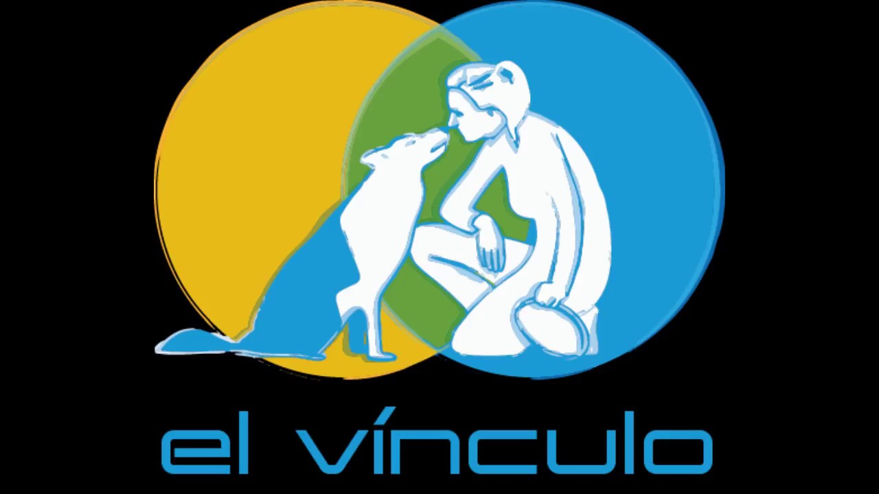 EL V&Iacute;NVULO en WE CAN DOG  SALAMANCA 2017