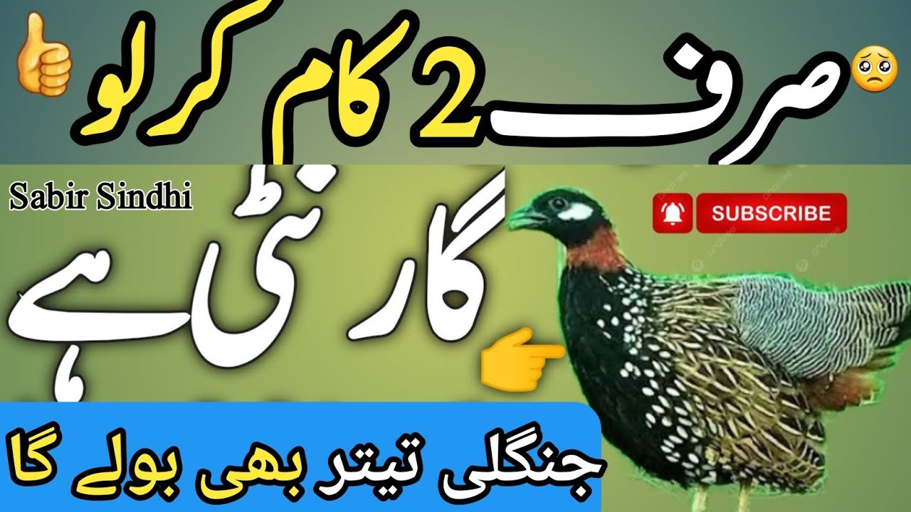 Kale Teetar ki awaz|black teetar awaz|black teetar voice|kala teetar|teetar ko bulane wali awaaz|bl