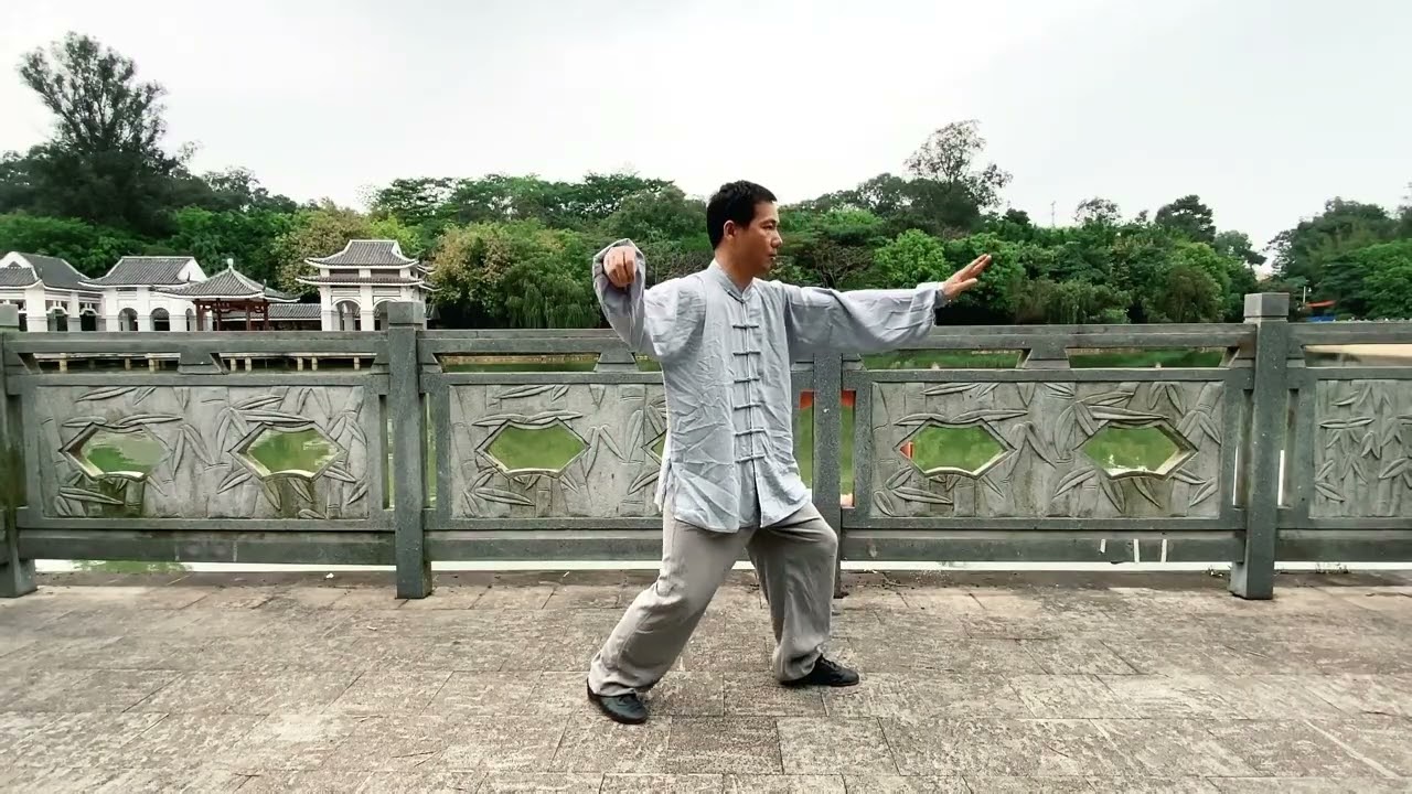 杨式太极拳高探马，这两个动作做对了，顶劲才能具有冲宵之意