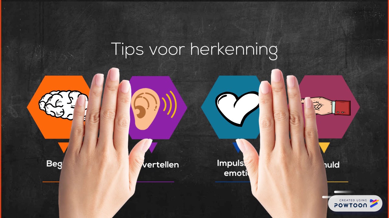 Licht verstandelijke beperking in de strafrechtsketen