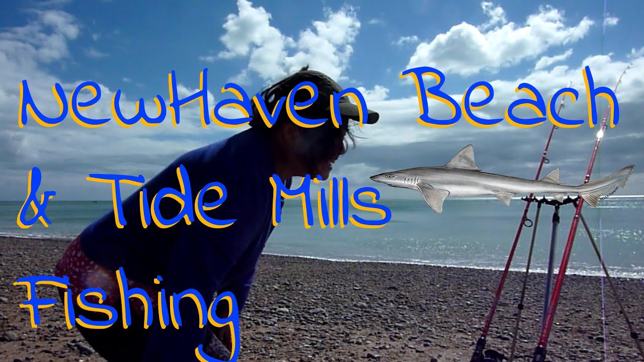 Newhaven Beach and Tide Mills - where to go fishing UK