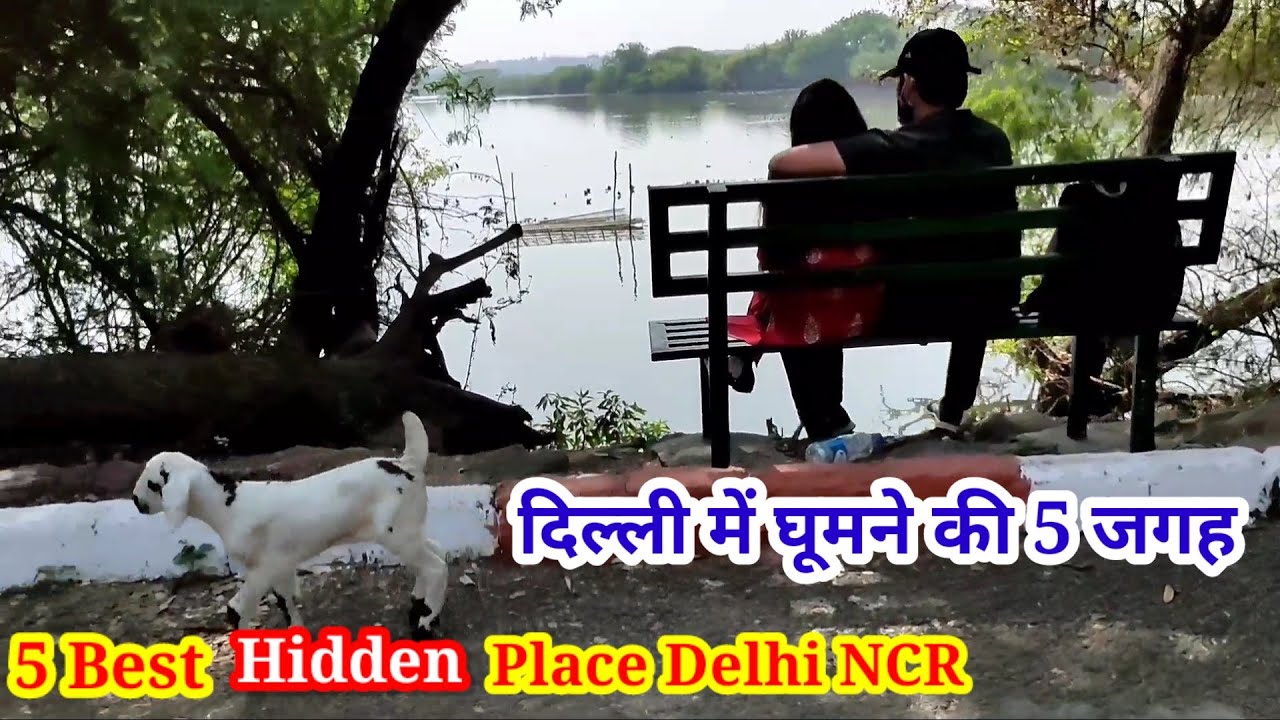 5 Best Hidden Place In Delhi NCR | Delhi Me Ghumne Ki Jagah | दिल्ली में घूमने लायक जगह | Delhi