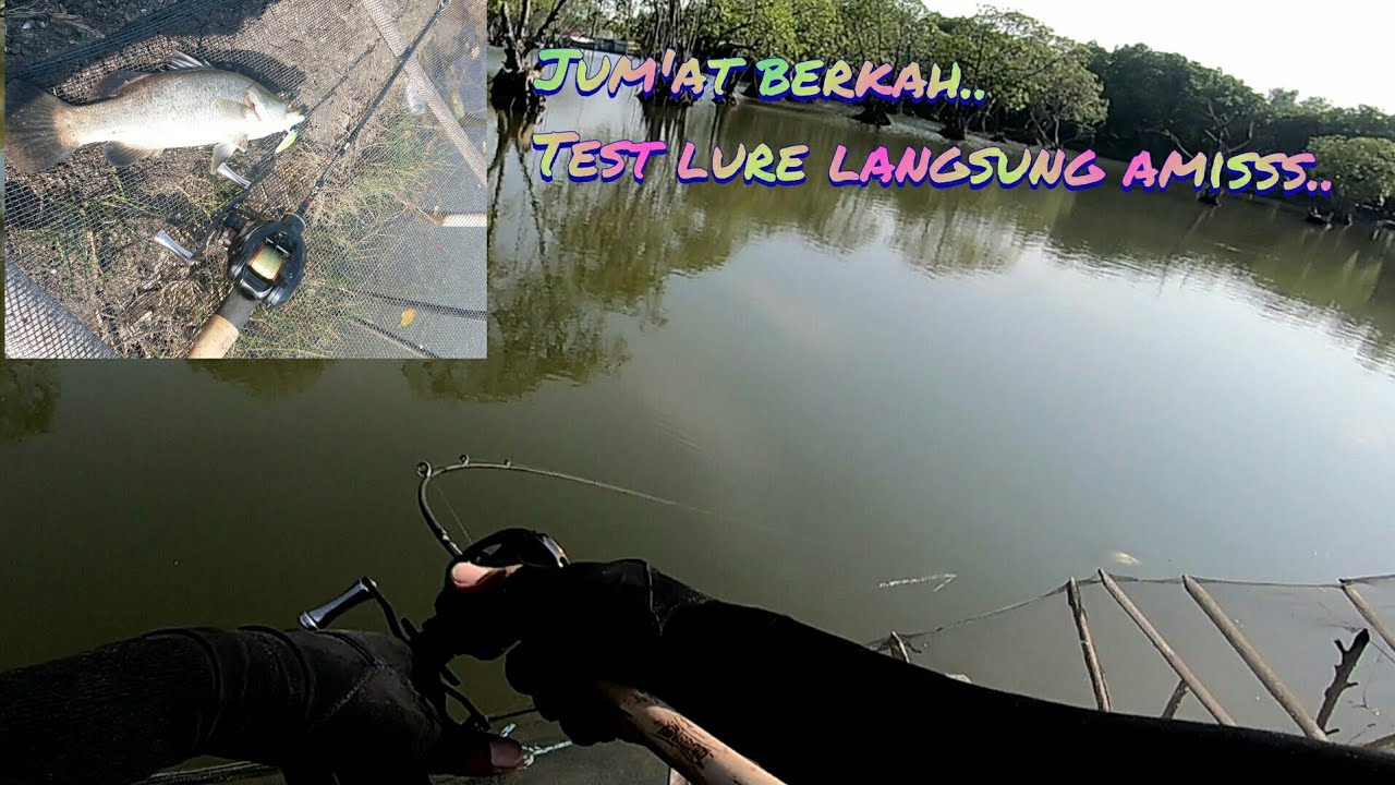 test lure swimbait flutterstick dari kingdom