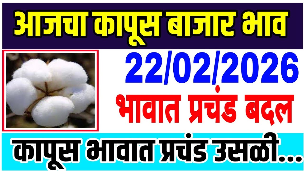 आजचे कापसाचे भाव वाढले 22 फेब्रुवारी 2026 || कापुस बाजार भाव वाढले| Cotton Market Rate | Kapus Bazar
