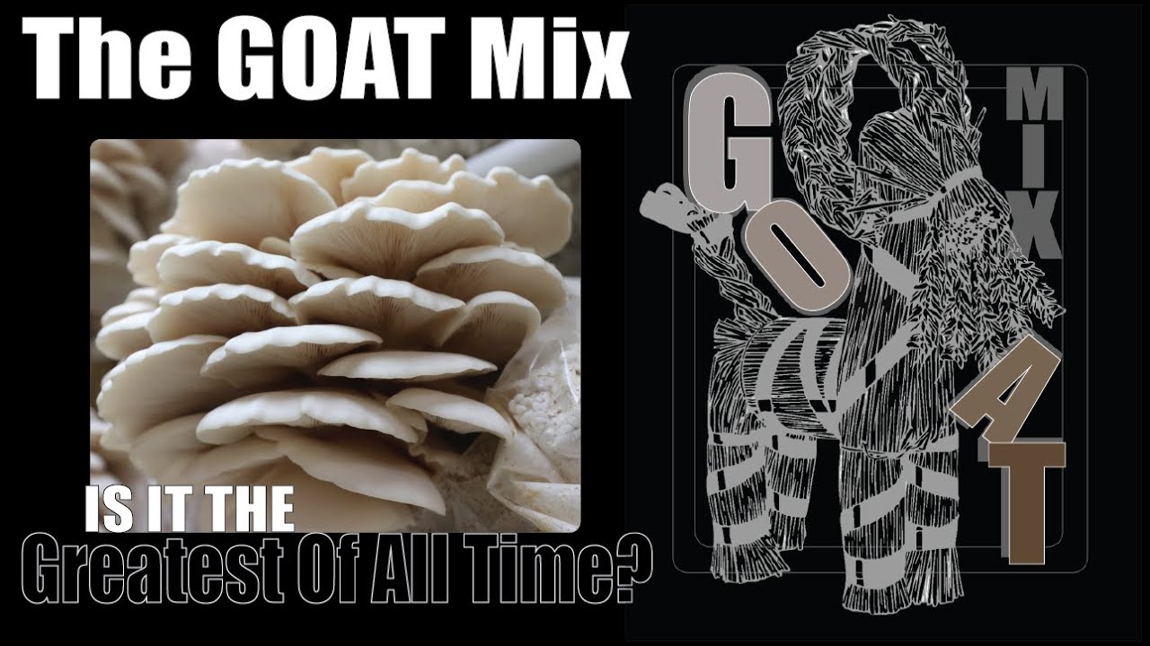 Goat Mix: наш новый субстрат для вешенок