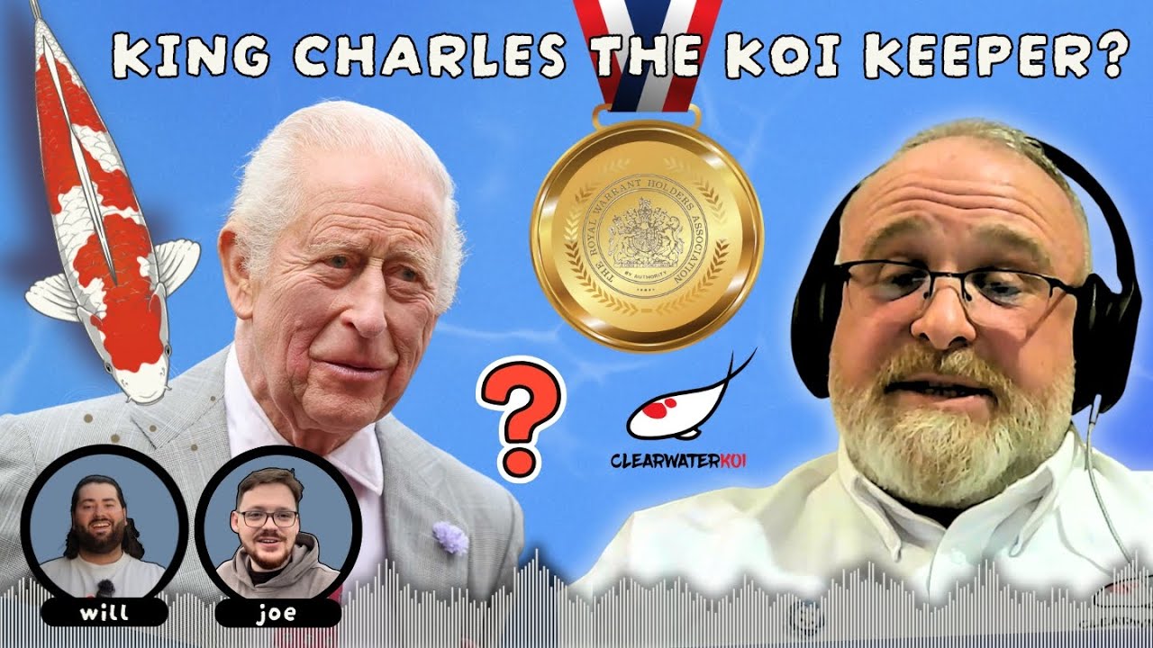 Король Карл &mdash; хранитель кои?! &mdash; Подкаст