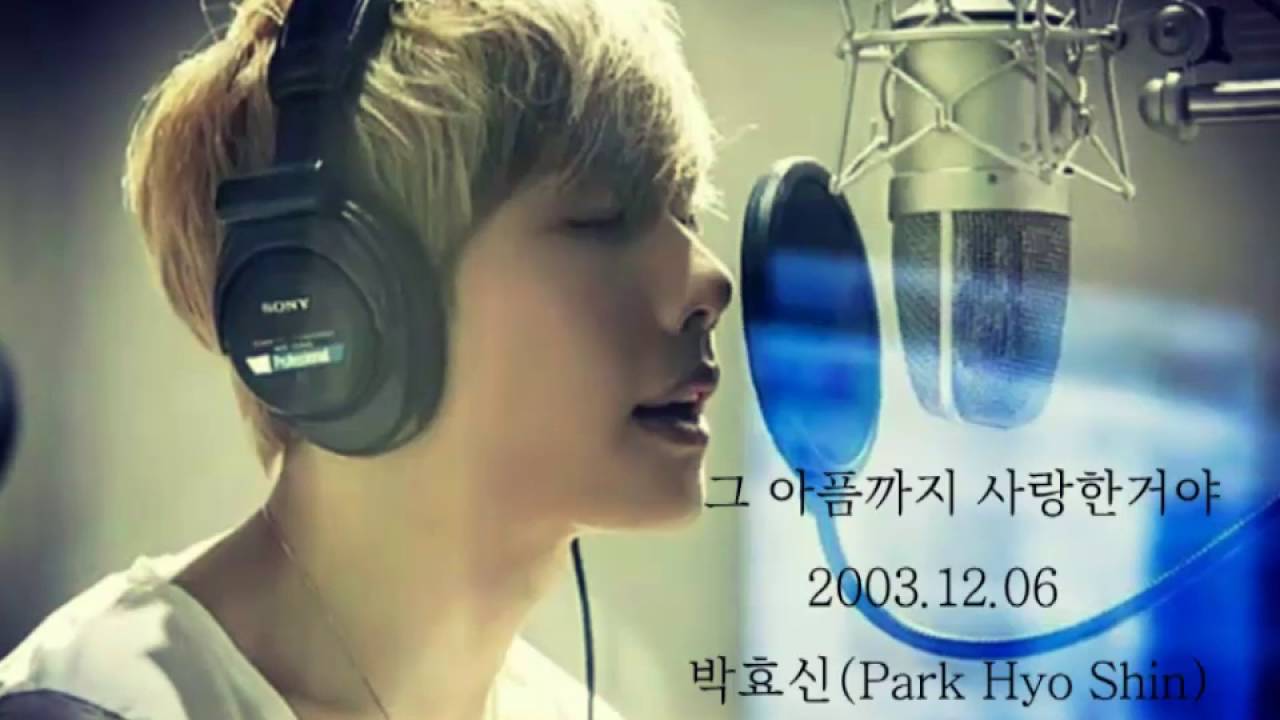 박효신  (Park Hyo Shin) 그 아픔까지 사랑한거야 자막