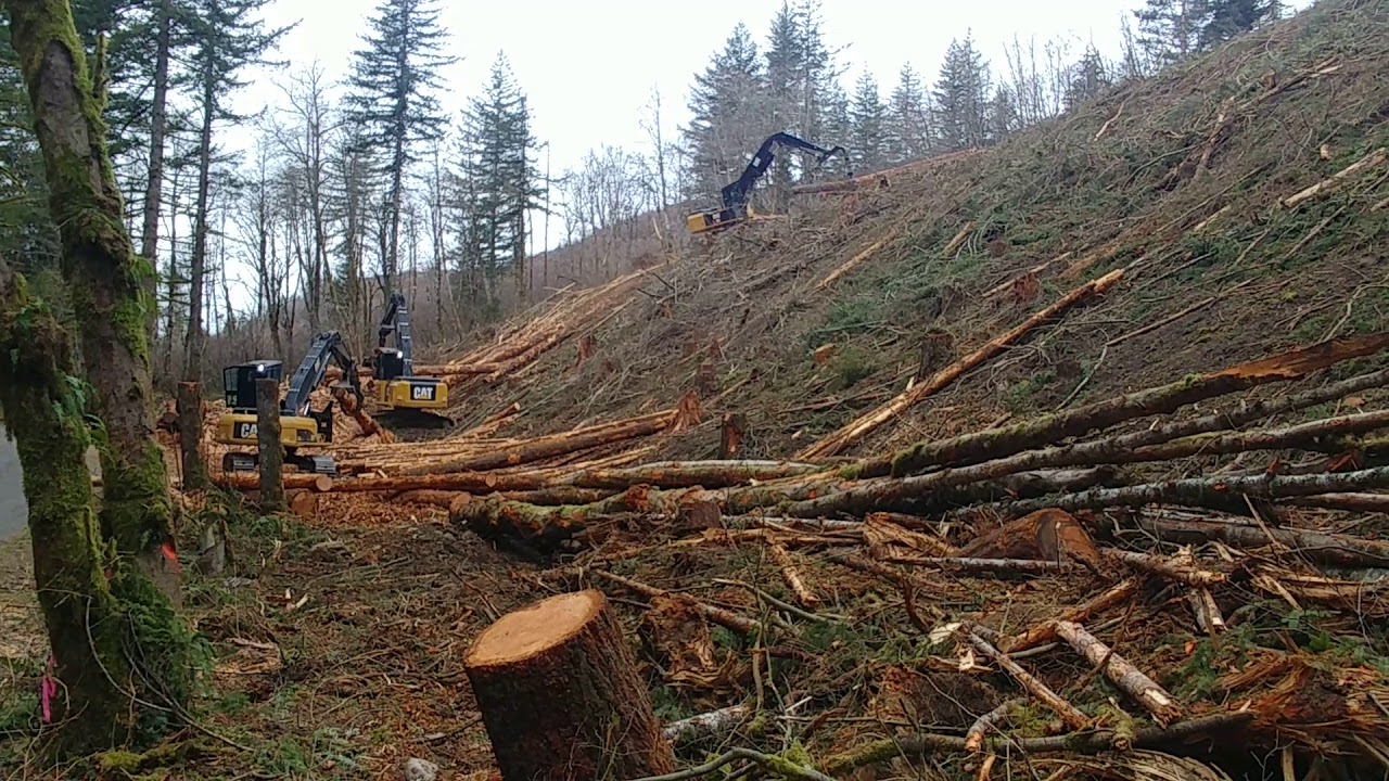 Cat 568 log loader shovel logging