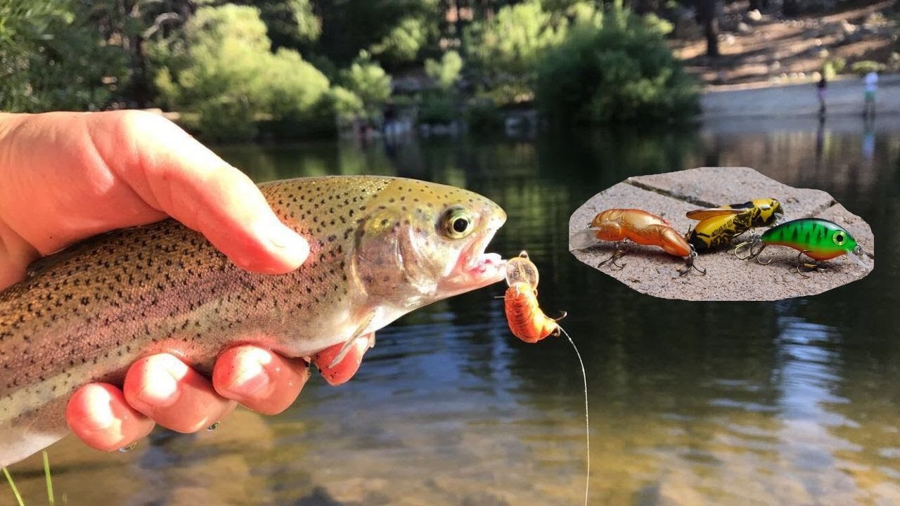 Lure Fishing Marilyn's Pond-Catching Trout In Reno NV