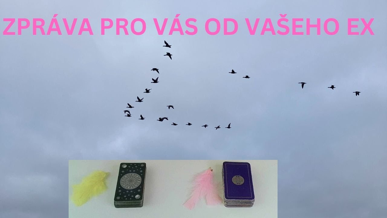 ZPRÁVA PRO VÁS OD VAŠEHO EX 🌹🧄