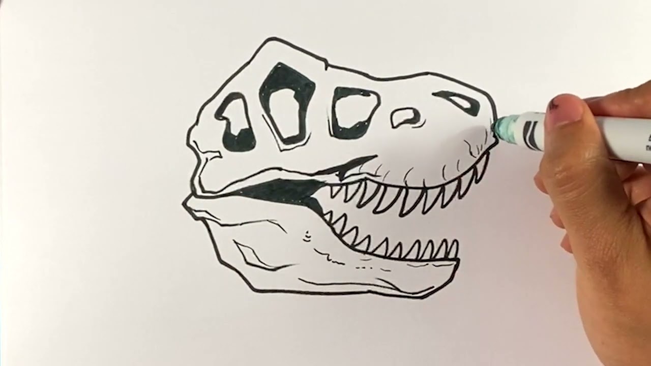 ЛЕГКИЙ способ нарисовать ЧЕРЕП ДИНОЗАВРА - T-rex