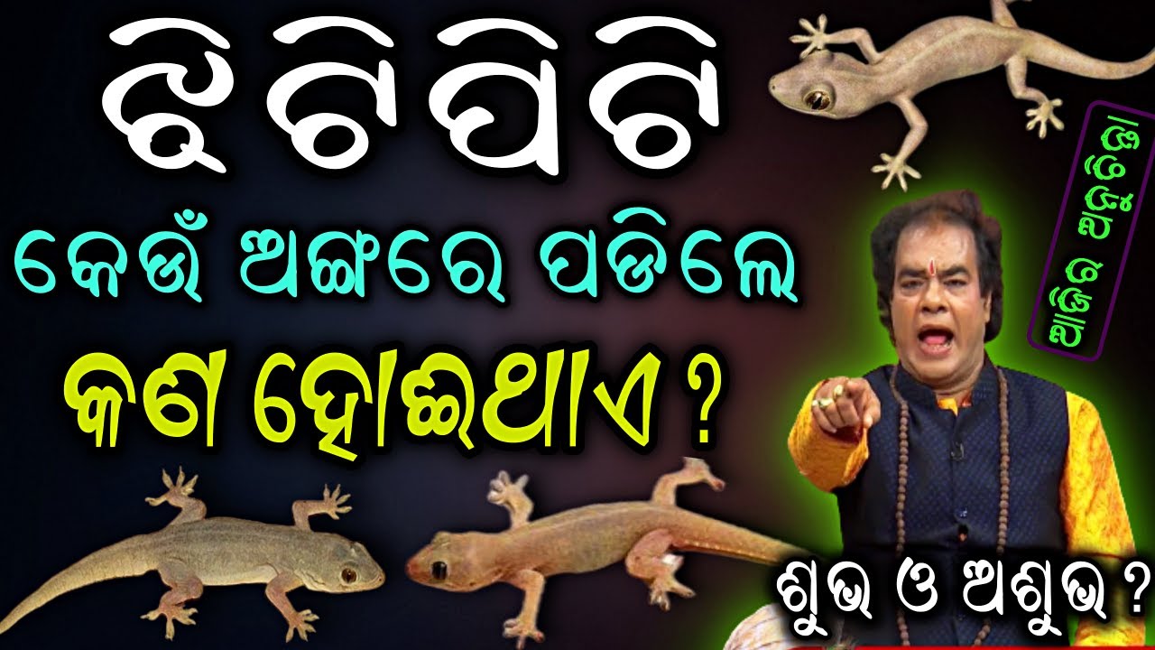 Jhitipiti padile kan hua | ଝିଟିପିଟି ପଡିଲେ କଣ ହୋଇଥାଏ | sadhubani anuchinta | jhitipiti padile kn hue