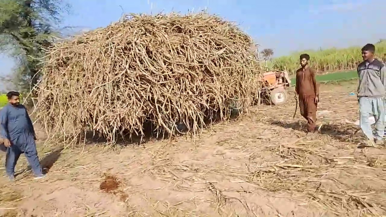 #dono #fiat #tractor#zorazmai#subscribe #mychanel #Tractorvideo #pakistan #india #uzbekistan 