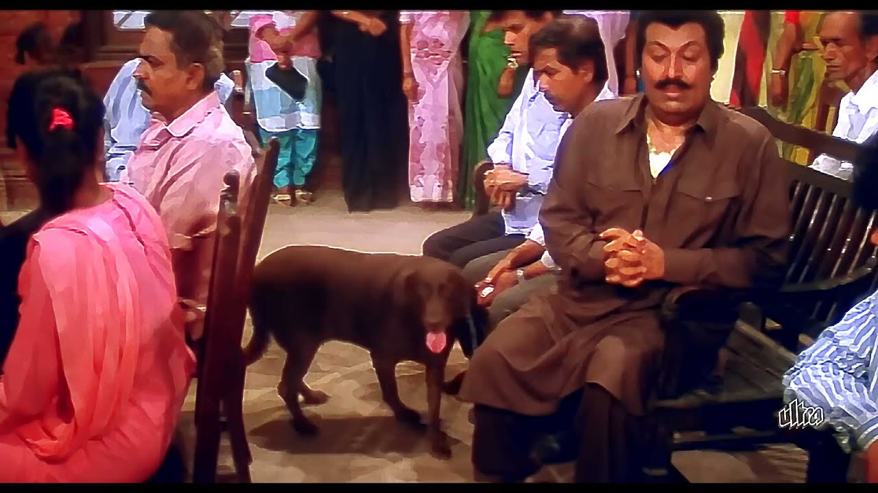 कुत्ते ने अदालत में पहचाना असली क़ातिल : Raaj Kumar | Vinod Khanna | Climax