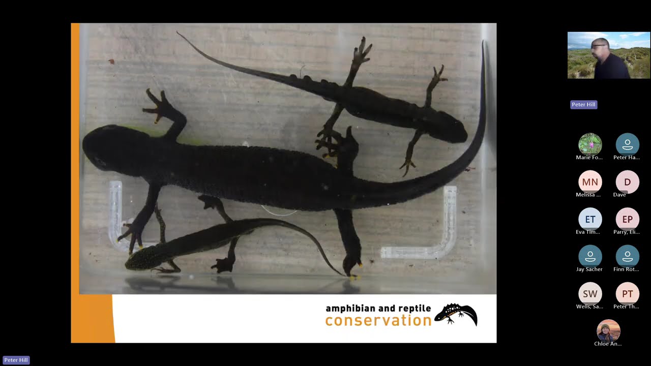 NPT for Nature Amphibian and Reptile Webinar Series Session 1