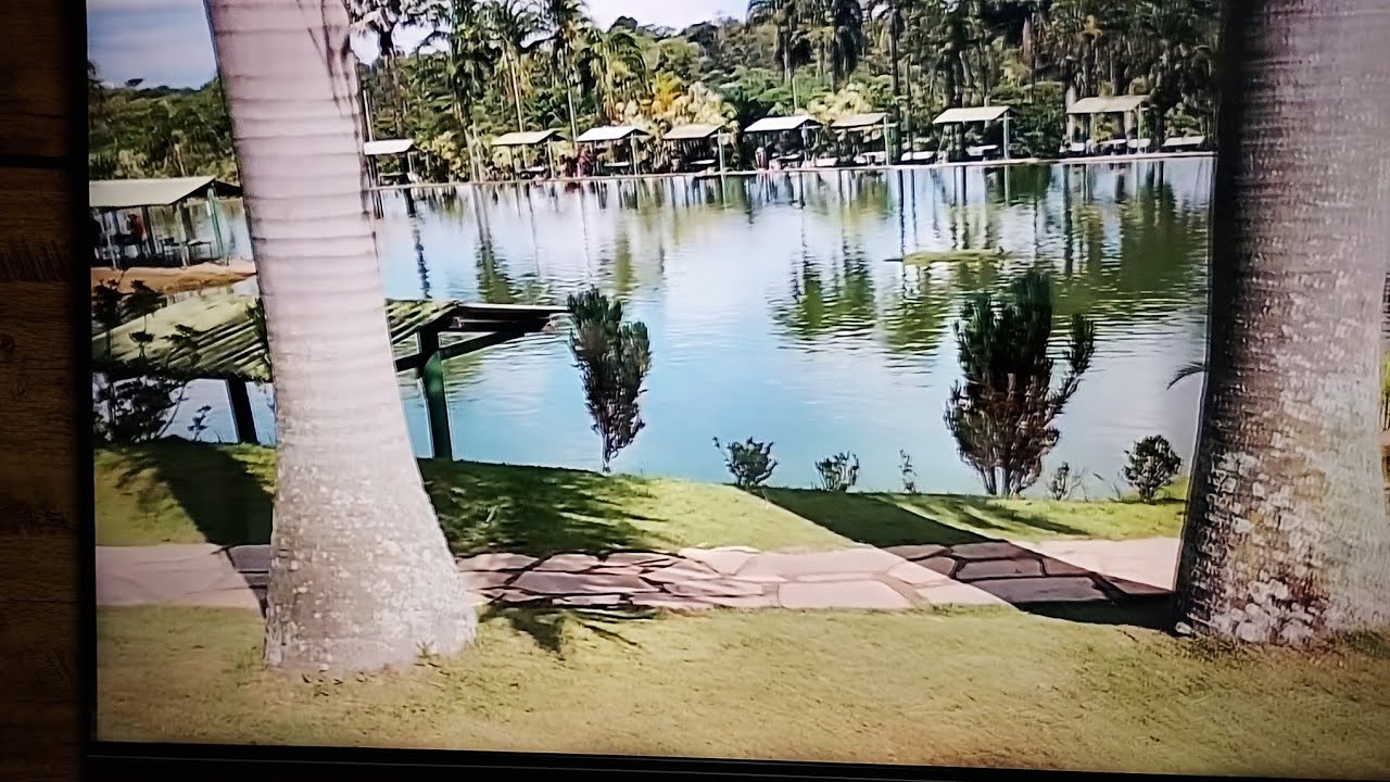O LUGAR QUE TODO APAIXONADO POR PEIXES PRECISA CONHECER! 🐟✨