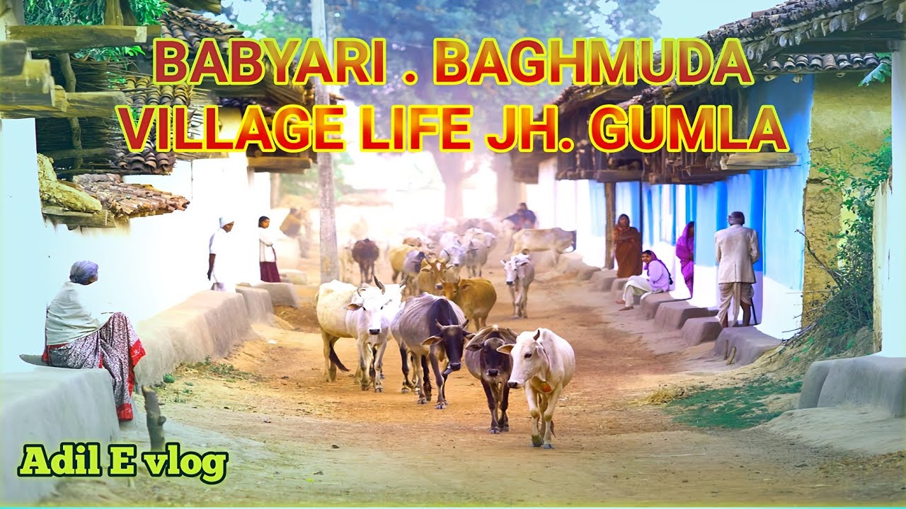 Jharkhand village life style||Adil E vlog||Village Bam Bihari Baghmuda village||Gumla Basiya#vlog