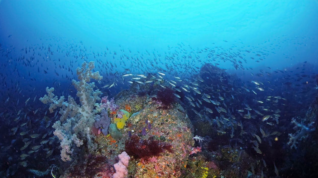 [ 4K Ultra HD ] 伊豆大島（３） 秋の浜  Akinohama-Beach,Izu-Oshima Island,TOKYO. (Shot on RED EPIC)