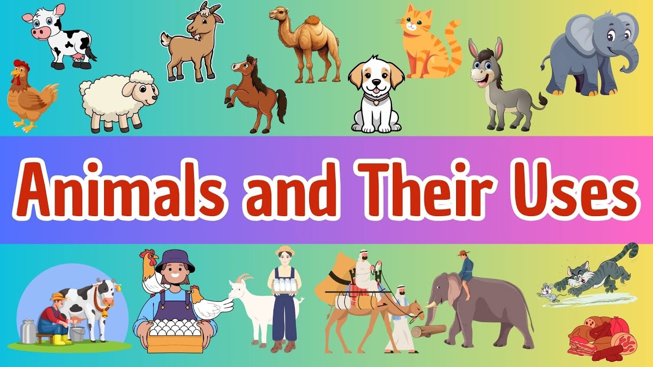 30 Animals and Their Amazing Uses for Kids | Animal Helpers Around Us!