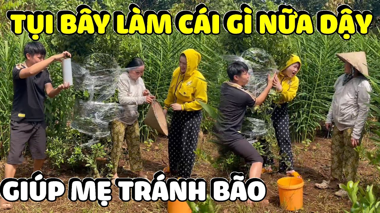 Hai Con Báo Giúp Dì Hương Tránh Bão Nhưng Không Đáng Kể | Hải Ka Vlogs