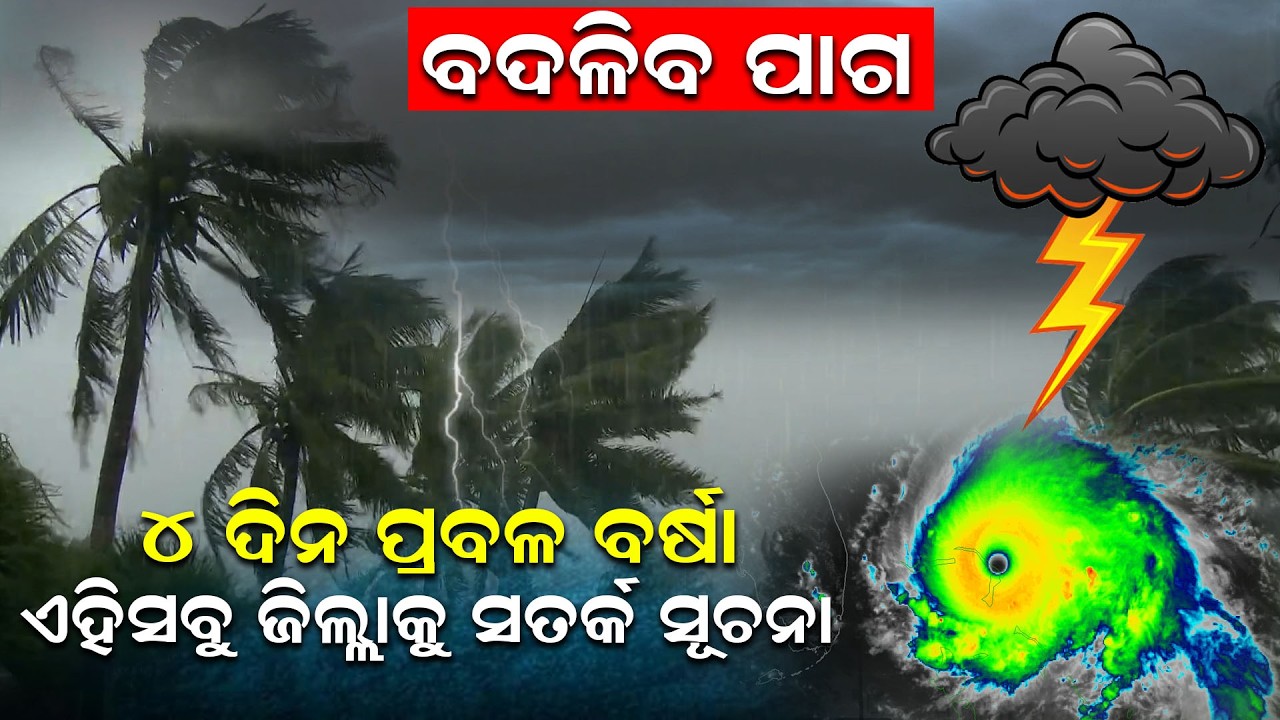 ବଦଳିବ ପାଗ, ୪ ଦିନ ପ୍ରବଳ ବର୍ଷା, ଏହିସବୁ ଜିଲ୍ଲାକୁ ସତର୍କ ସୂଚନା | Odisha Weather Update| Odia News |