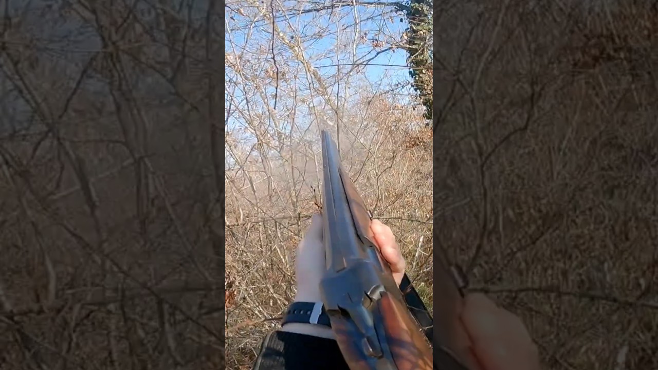 Woodcock Hunting with my Shotgun | Catch and Cook