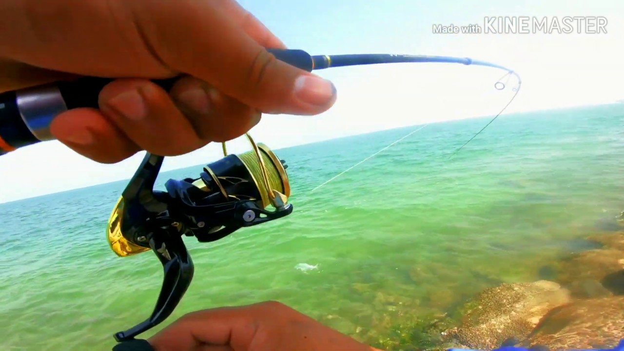 Shore jigging | casting | Ultra light setup vs big fish  Kastking Best performance Loud Drag Sound