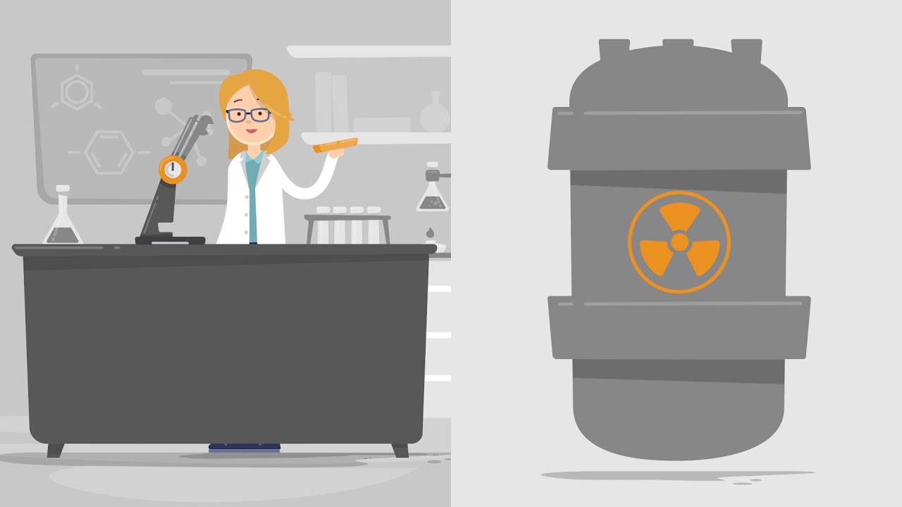 NOMAD - Nondestructive Evaluation of Material Degradation in Nuclear Power Plants