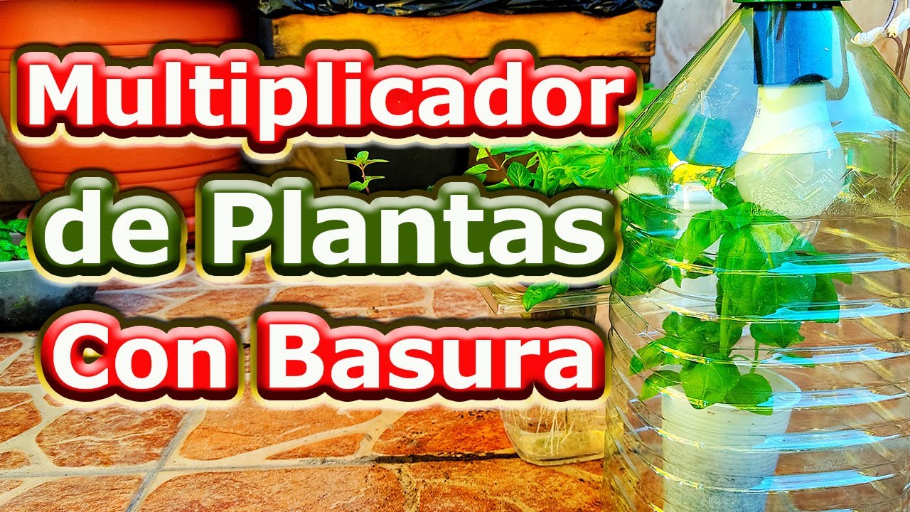👨&zwj;🌾#Propagador de Esquejes #Hidrop&oacute;nico Casero♻️ Propagar ES f&aacute;cil ✔️
