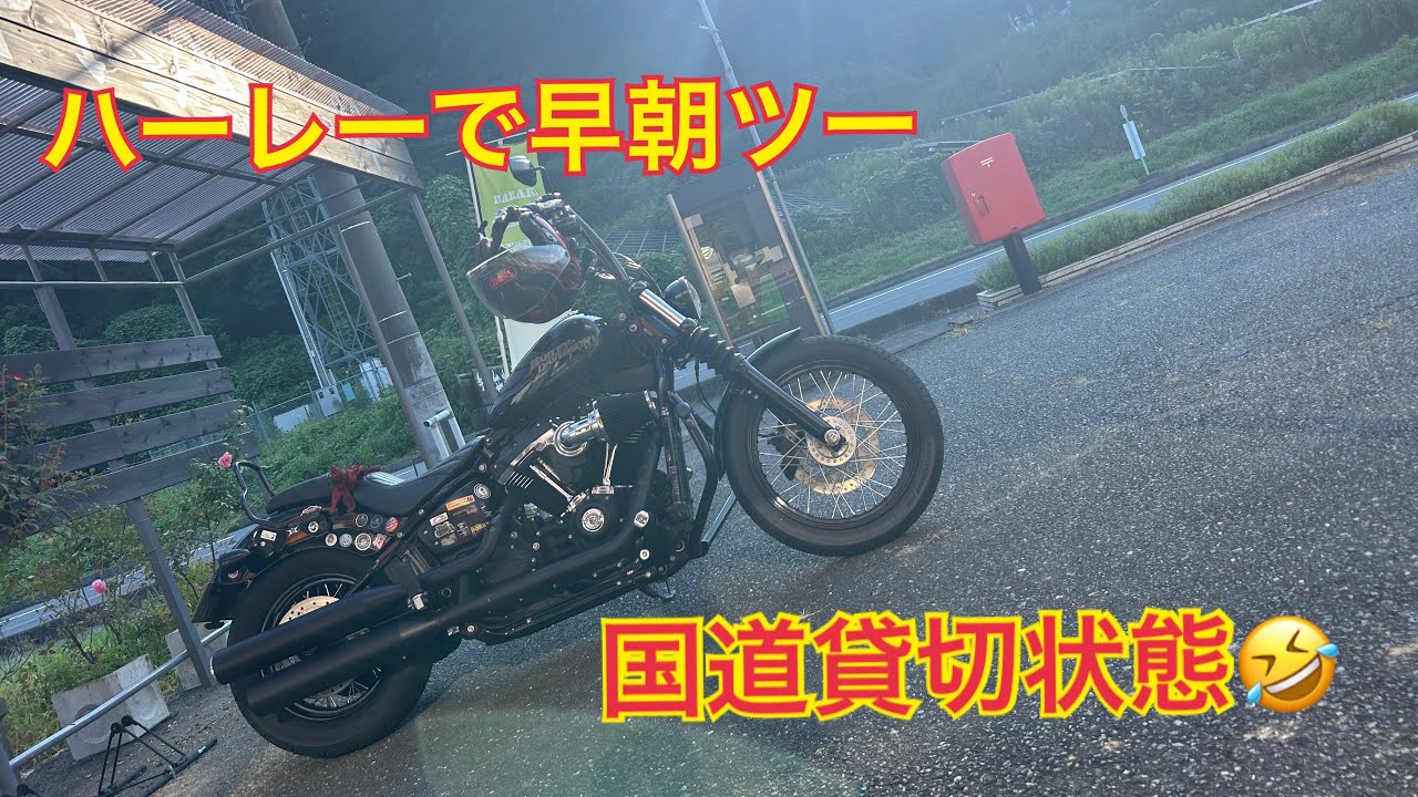 ハーレーで早朝から田舎道ツーリング‼️#fxbb #ストリートボブ