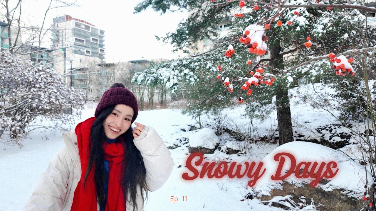 Tuyết rơi đầu mùa| Snowy Days| Daily Vlog| Business analyst living in Finland