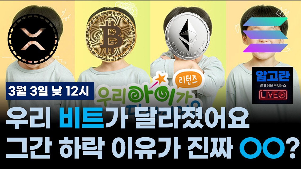12시에 만나요~/우리 비트가 달라졌어요/전쟁이 터졌는데 버티는 걸 넘어 급등/취금이니?/진짜 빌런은 제인스트리트?