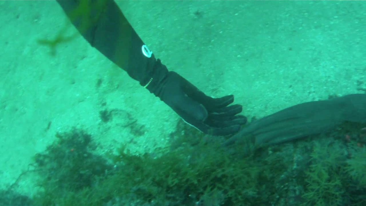 Arribolas 11 07 19