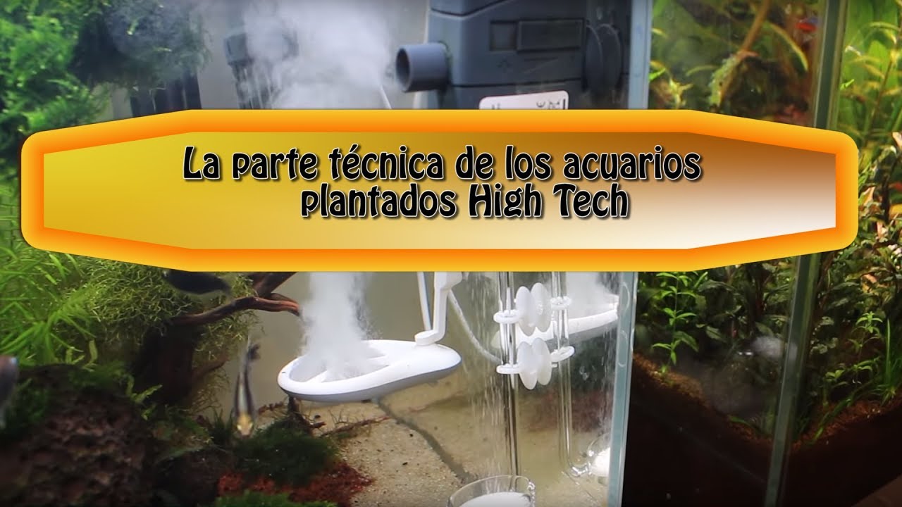 Acuario plantado desde cero / La parte técnica