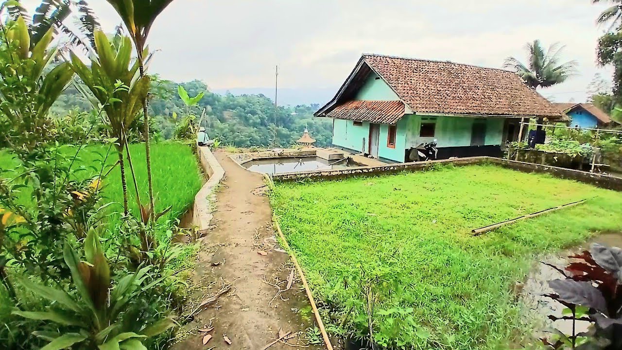 LUKISAN ALAM TERIHAT NYATA DIKAMPUNG SARONGGE PANJALU 