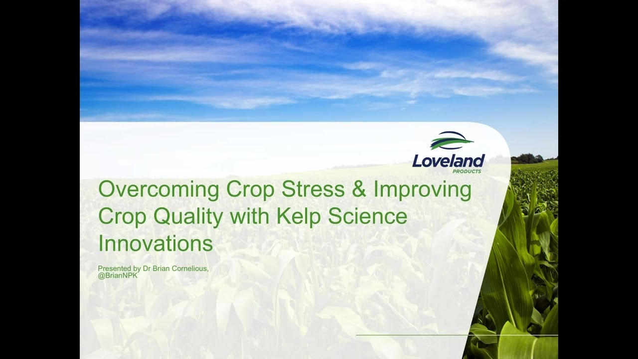 Overcoming Crop Stress & Improving Crop Quality with Kelp Science Innovations