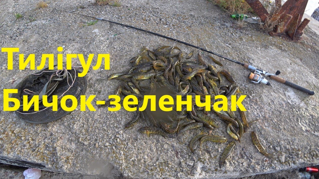 🎣 Тилігульський лиман  Ловля Зеленчака 🐟 з берега